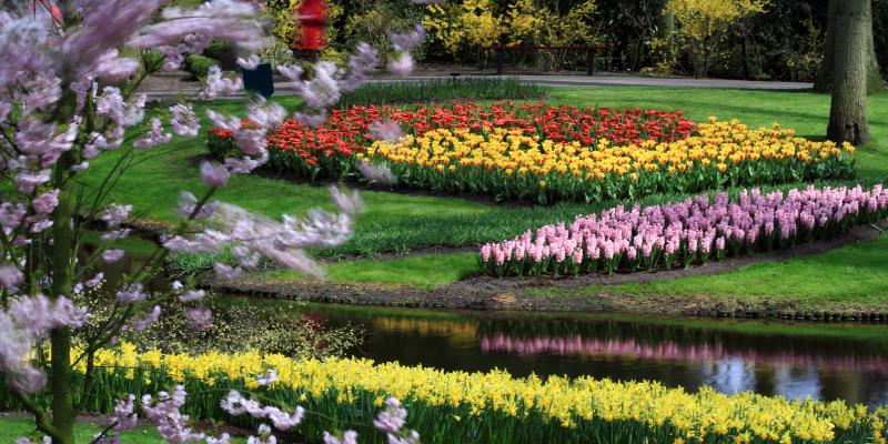 Kelionė į Belgiją - Olandiją su galimybe apsilankyti gėlių parke „Keukenhof“ (6 d.) (skrydis iš Vilniaus) GRUPĖ TIK IŠ LIETUVOS!