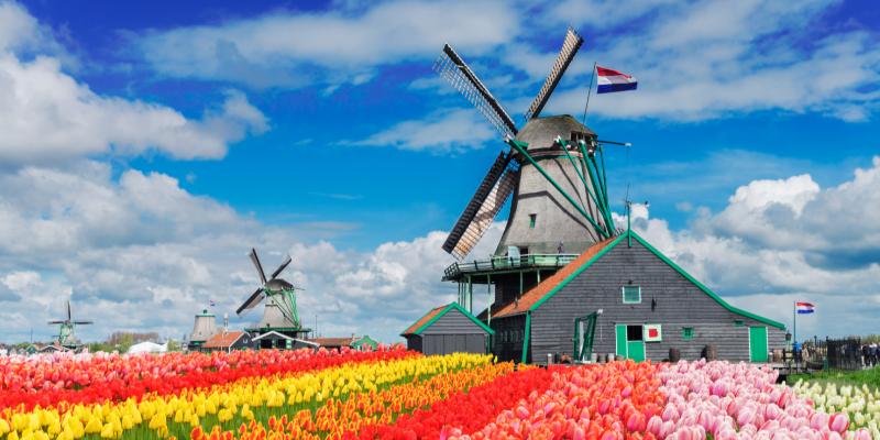 Германия - Бельгия - Нидерланды - парк цветов Кёкенхоф (вылет из Риги)