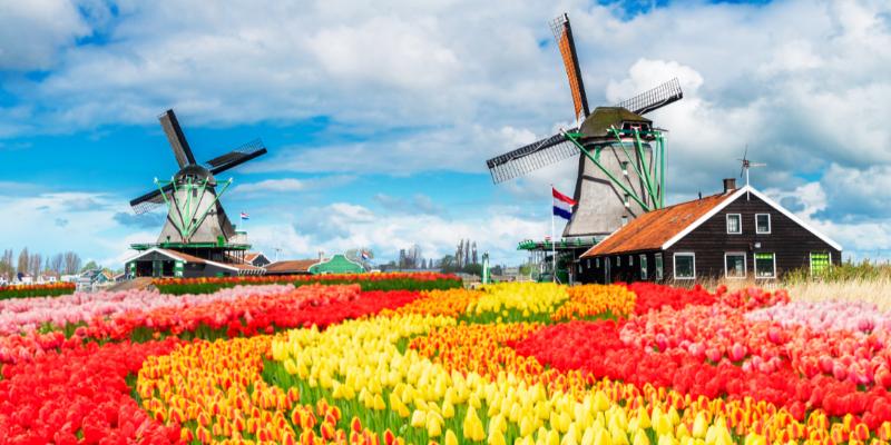 Kelionė į Belgiją - Olandiją su galimybe apsilankyti gėlių parke „Keukenhof“ (6 d.) (skrydis į Šarlerua)