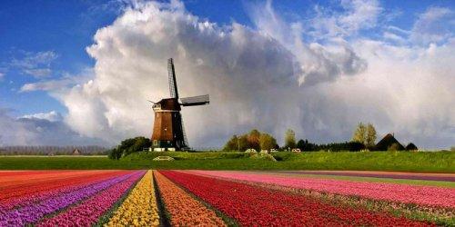 Beļģija un Nīderlande - atpūtas ceļojums